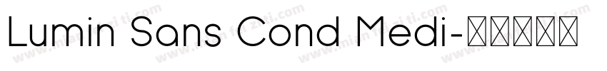 Lumin Sans Cond Medi字体转换